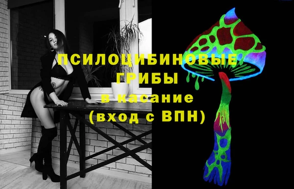твердый Бронницы