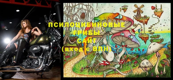 мдпв Протвино